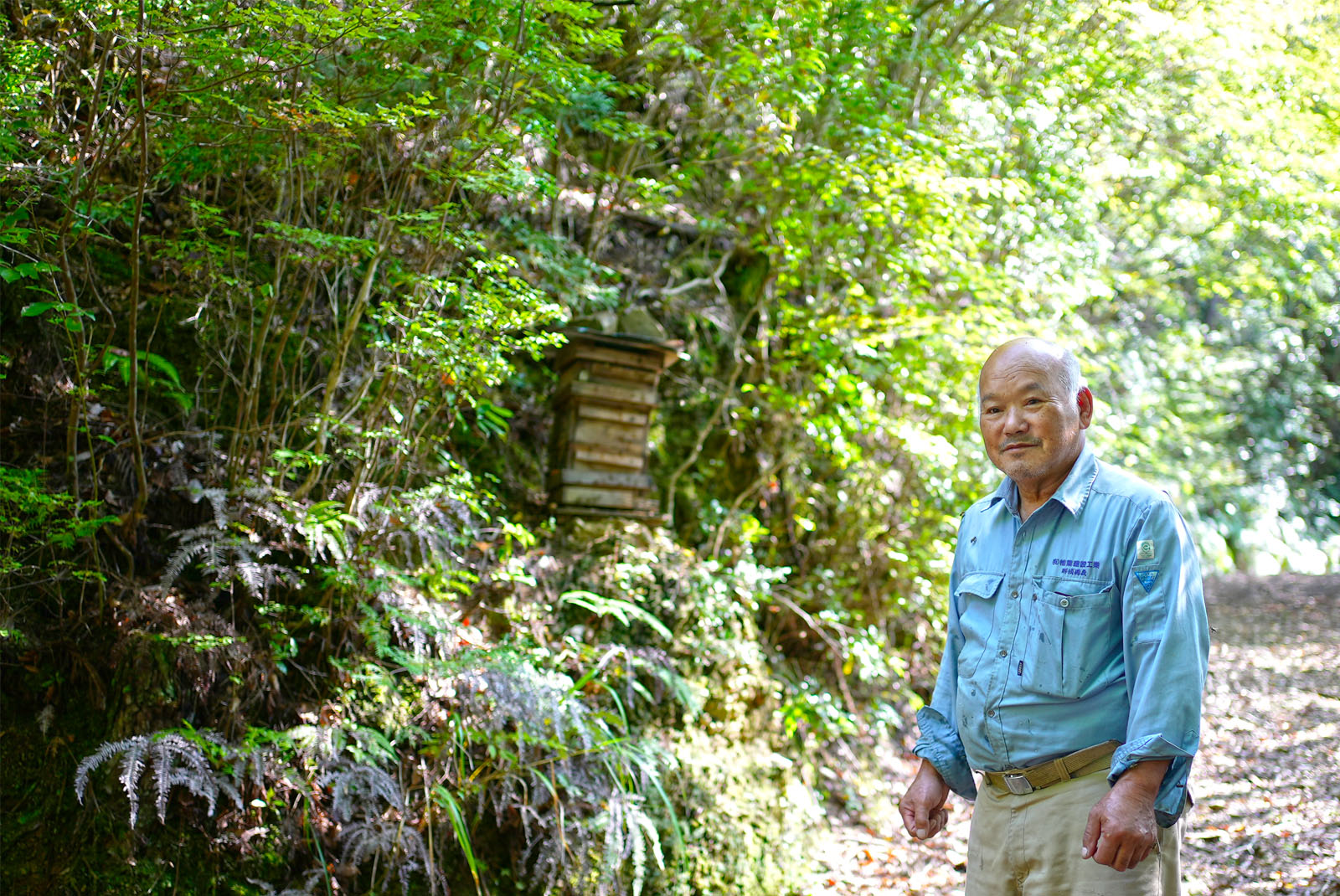 百花蜜イメージ