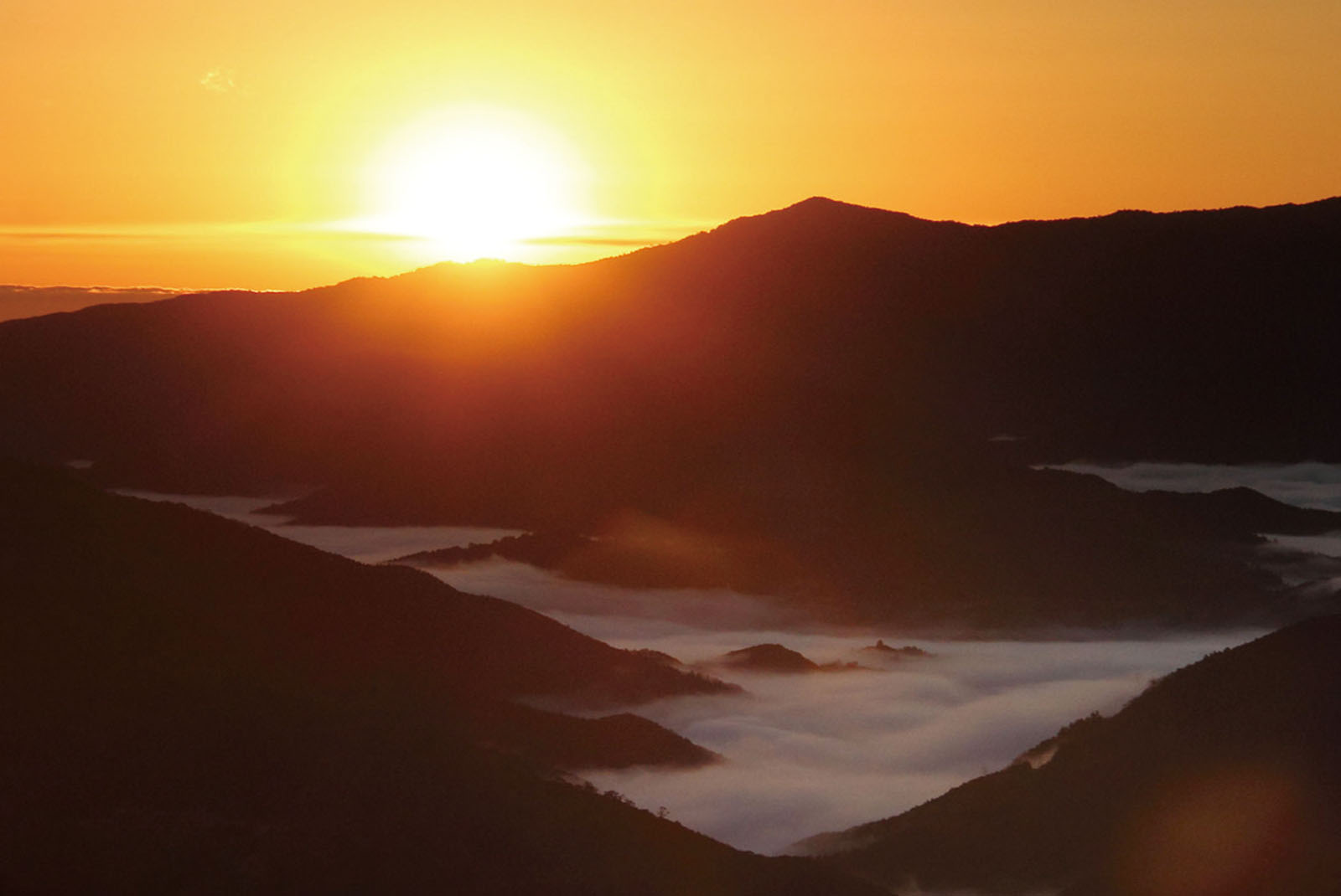 百花蜜イメージ