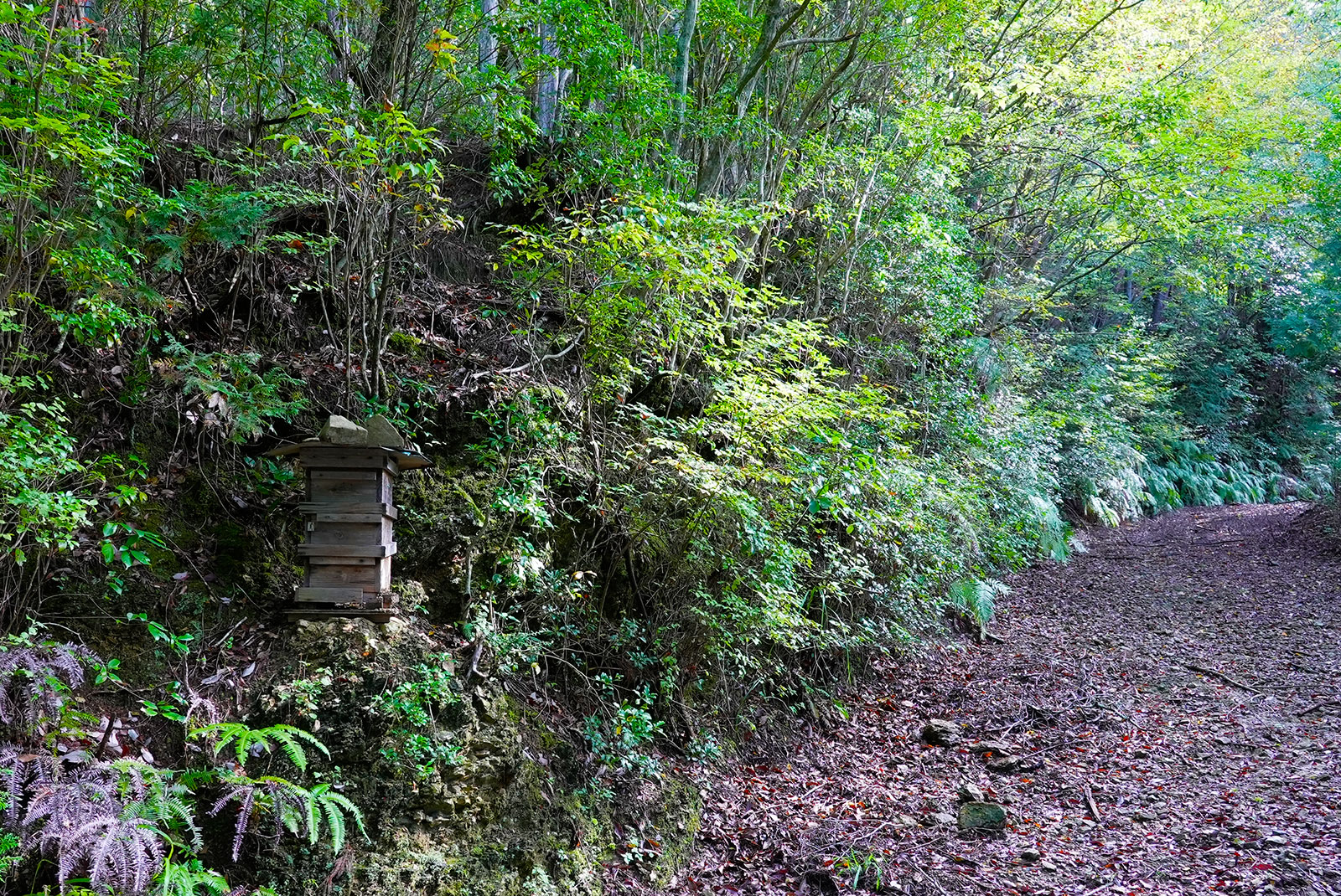 百花蜜イメージ